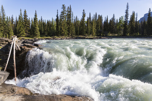 Kanada, Alberta, Jasper National Park, Athabasca River, Athabasca Falls - FOF005750