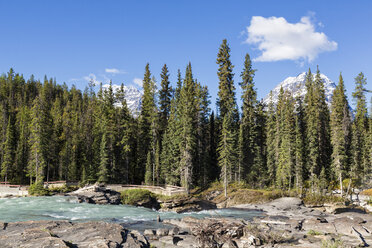 Kanada, Alberta, Jasper-Nationalpark, Athabasca-Fluss - FOF005749