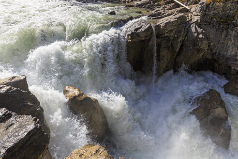 Kanada, Alberta, Jasper National Park, Sunwapta Falls, Sunwapta River - FOF005746