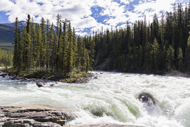 Kanada, Alberta, Jasper National Park, Sunwapta Falls, Sunwapta River - FOF005744