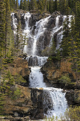 Kanada, Alberta, Jasper National Park, Tangle Creek Falls - FOF005742