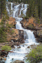 Kanada, Alberta, Jasper National Park, Tangle Creek Falls - FO005741