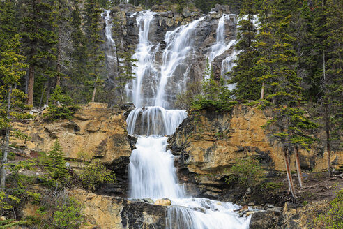 Kanada, Alberta, Jasper National Park, Tangle Creek Falls - FOF005738