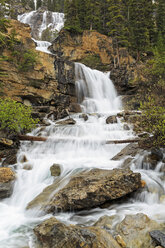 Kanada, Alberta, Jasper National Park, Tangle Creek Falls - FOF005737