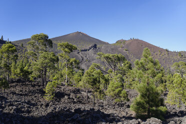 Spanien, Kanarische Inseln, La Palma, Vulkan San Martin, Cumbre Vieja bei Fuencaliente - SIEF004987