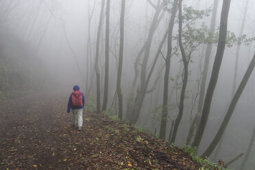 Spain, Canary Islands, La Palma, foggy forest at Cumbre Nueva near Brena Alta, woman walking - SIEF005001