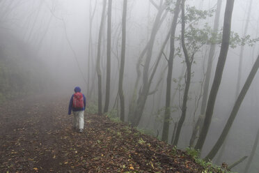 Spanien, Kanarische Inseln, La Palma, nebliger Wald an der Cumbre Nueva bei Brena Alta, Frau beim Wandern - SIEF005001