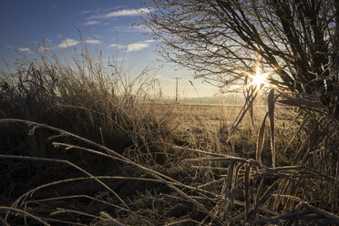 Germany, Bavaria, Altfraunhofen, sunrise above field - YFF000020