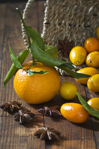 Tangerine (Citrus reticulata), kumquats and star anise (Illicium verum) on wooden table stock photo