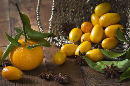Mandarine (Citrus reticulata), Kumquats und Sternanis (Illicium verum) auf Holztisch - YFF000004