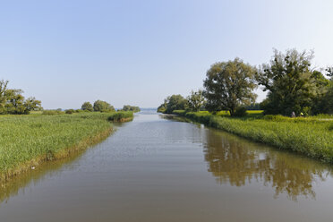 Österreich, Vorarlberg, Hard, Dornbirn Ach, Naturschutzgebiet Rheindelta - SIEF004972