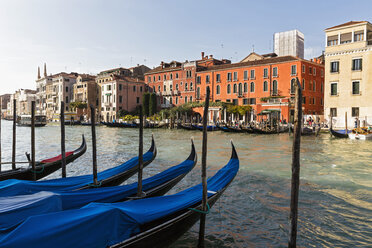 Italy, Venice, Gondolas on Canale Grande - FOF005796