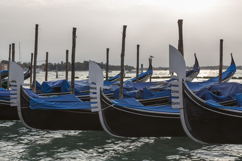 Italien, Venedig, Gondeln in einer Reihe - FOF005929