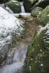 Japan, Yakushima, Wasserfall im Regenwald - FL000374