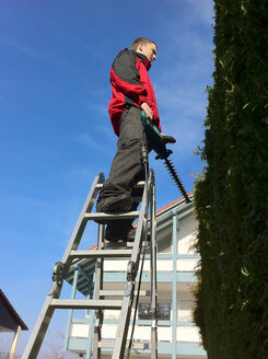 Gardener with the hedge trimmer on ladder, Germany, Baden-Wuerttemberg, Dingelsdorf - JEDF000126