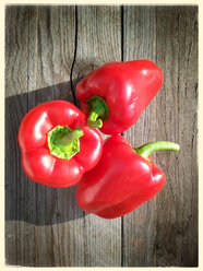 Paprika (Capsium), hölzerner Hintergrund, Studio - CSF020696