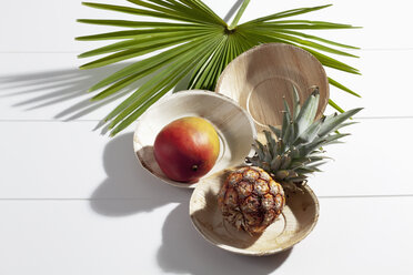 Drei Palmblattteller, Ananas, Papaya und ein Palmwedel, Studioaufnahme - CSF020689