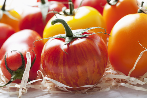 Verschiedene Tomaten auf Holzwolle und Holztisch, lizenzfreies Stockfoto