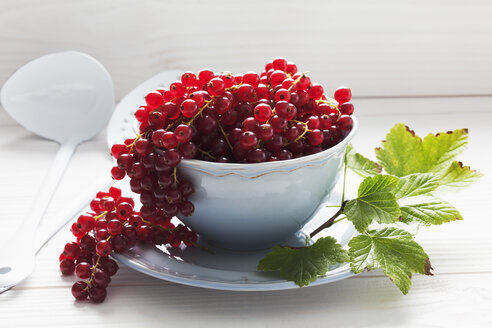 Schale mit Johannisbeeren auf Holztisch - CSF020669