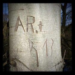 In einen Baum geschnitzte Initialen, Roth, Bayern, Deutschland - MAEF007671