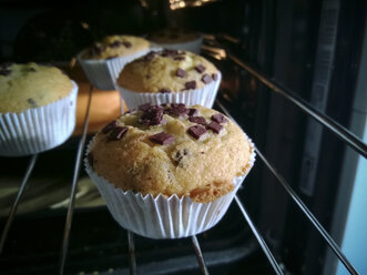 Muffins mit Schokoladenstückchen auf einem Gitter im Ofen, Deutschland - MYF000129