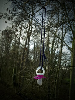 Pacifier hangs on a tree, Germany - MYF000127