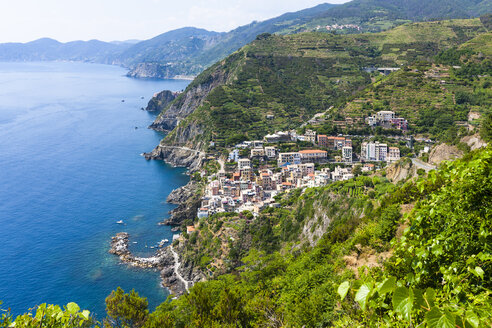 Italien, Ligurien, La Spezia, Cinque Terre, Riomaggiore, Blick auf Küstenlinie und Dorf - AMF001747