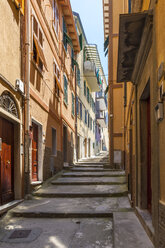 Italien, Ligurien, La Spezia, Cinque Terre, Manarola, Blick auf enge Gasse - AMF001760