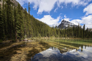 Kanada, Britisch-Kolumbien, Yoho Nationalpark, Lake O'Hara und Yukness Mountain - FOF005851