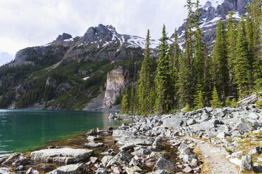 Kanada, Britisch-Kolumbien, Yoho Nationalpark, Lake O'Hara und Wiwaxy Peaks - FOF005847