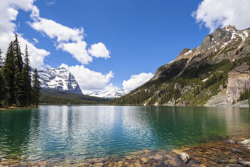 Canada, British Columbia, Yoho Nationalpark, Lake O'Hara with mountains - FOF005864