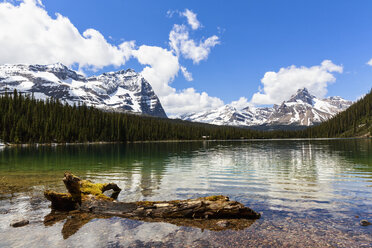 Canada, British Columbia, Yoho Nationalpark, Lake O'Hara and mountains - FO005866