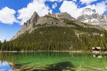 Kanada, British Columbia, Yoho Nationalpark, Lake O'Hara, Wiwaxy Peaks und Mount Huber - FOF005868