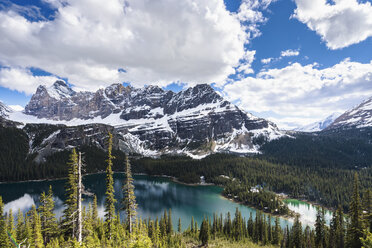 Canada, British Columbia, Yoho Nationalpark, Lake O'Hara and mountains - FOF005870