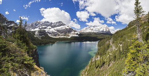 Canada, British Columbia, Yoho Nationalpark, Lake O'Hara and mountains - FOF005862