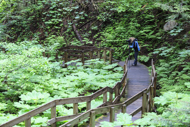 Kanada, British Columbia, Mount Revelstoke National Park, Fotografin am Giant Cedars Boardwalk Trail - FOF005677