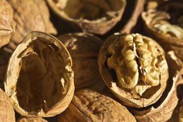 Walnuts, close-up - YFF000016