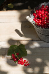 Metalleimer mit roten Johannisbeeren auf hölzernem Gartentisch - SBDF000520