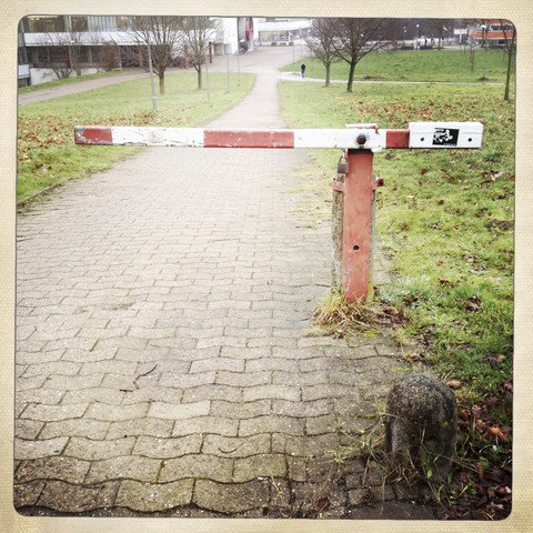 Winziger Tresen an einem Fußweg, Universität Bielefeld, Deutschland, lizenzfreies Stockfoto