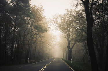 Germany, Saxony, country road at fog - MJF000860