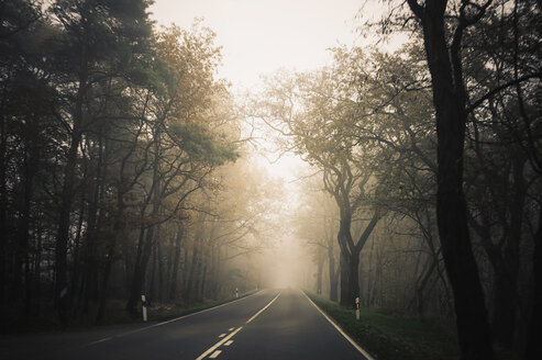 Deutschland, Sachsen, Landstraße bei Nebel - MJF000860