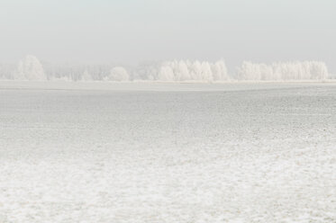 Germany, Saxony, white winter landscape - MJF000764