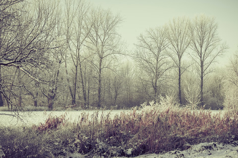 Germany, snow covered winter landscape stock photo