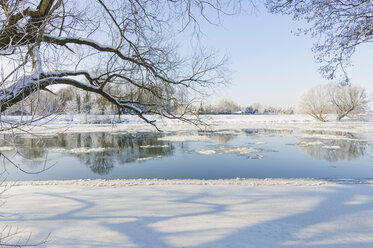 Germany, winter landscape with frozen hollow - MJF000779