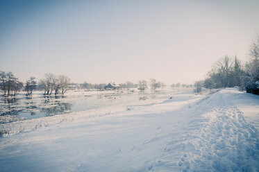 Germany, winter landscape with frozen hollow - MJF000793