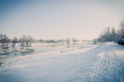 Deutschland, Winterlandschaft mit gefrorener Mulde - MJF000793