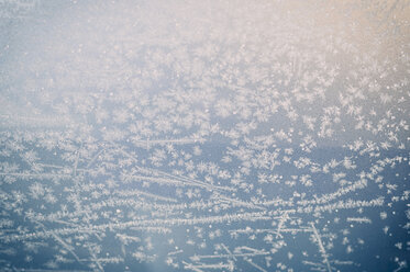 Ice crystals on window pane - MJF000795