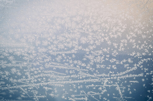 Eiskristalle auf der Fensterscheibe - MJF000795