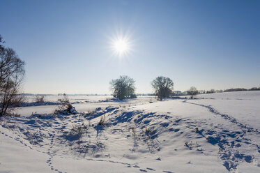 Deutschland, Winterlandschaft im Gegenlicht - MJF000796