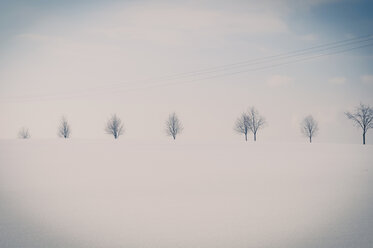 Deutschland, schneebedeckte weiße Winterlandschaft mit Baumreihe - MJF000810